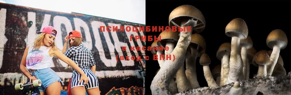 трава Ельня