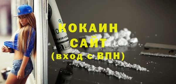 СК Алексин