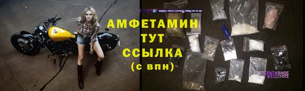СК Алексин