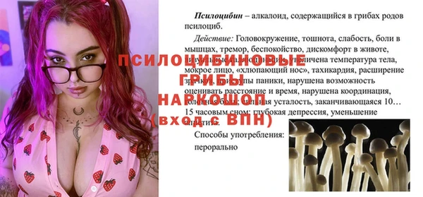 СК Алексин