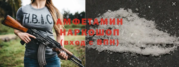 СК Алексин